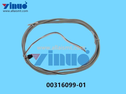 00316099 01 SIEMENS ASM VALVE WITH CABLE (3)