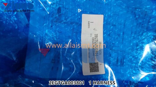 2EGTGA003801-HARNESS-1.jpg