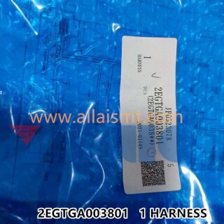 2EGTGA003801-HARNESS-1