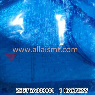 2EGTGA003801-HARNESS-2
