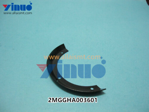 2MGGHA003601-XPF-.jpg