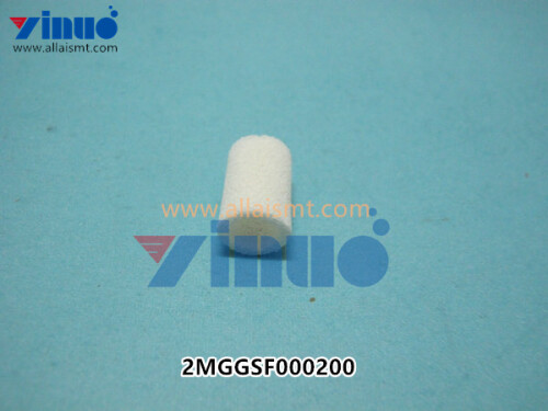 2MGGSF000200-FILTER-XPF-..jpg