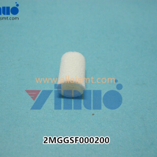 2MGGSF000200-FILTER-XPF-.