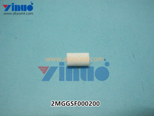 2MGGSF000200-FILTER-XPF-.jpg