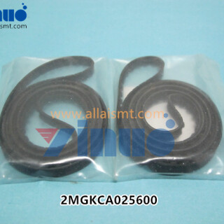 2MGKCA025600-CONVEYOR-BELT-NXT-..