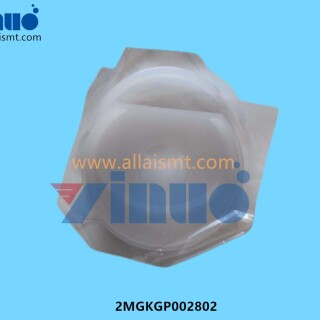 2MGKGP002802-PLATE-ACRYLIC-3