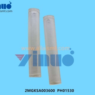 2MGKSA003600-PH01530-NXT-Roller-2