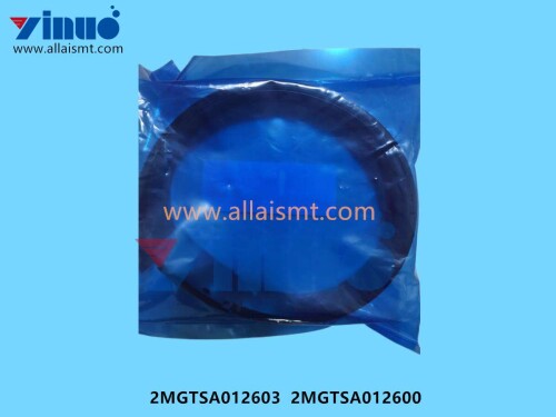 2MGTSA012603 2MGTSA012600 SHEET (2)