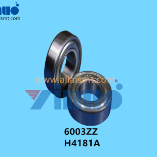 6003ZZ-H4181A-BEARING-3