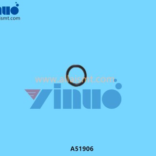 A51906-O-RING-FUJI-1