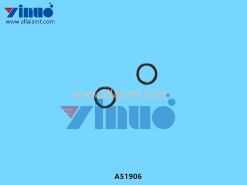 A51906 O RING FUJI (2)