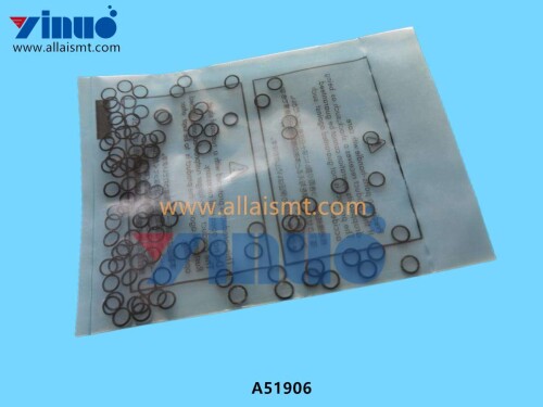 A51906 O RING FUJI (3)