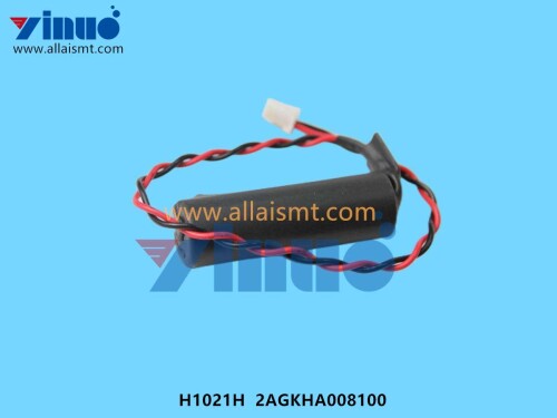 Battery with Cable 200mm H1021H 2AGKHA008100 (2)