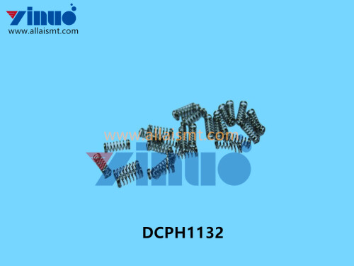 DCPH1132 FUJI SPRING (1)