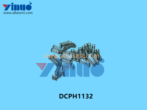 DCPH1132 FUJI SPRING (2)