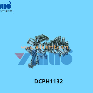 DCPH1132-FUJI-SPRING-2