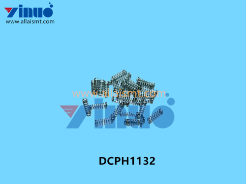 DCPH1132 FUJI SPRING (3)