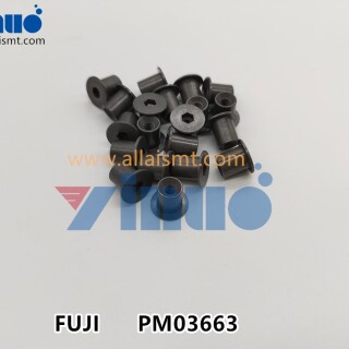 FUJI-NXT-PM03663-PIN-1