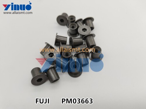 FUJI NXT PM03663 PIN (2)