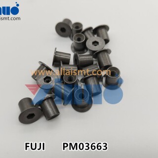 FUJI-NXT-PM03663-PIN-2