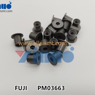 FUJI-NXT-PM03663-PIN-3