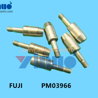 FUJI-NXT-PM03966-PIN-ECCENTRIC-2