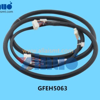 GFEH5063-FUJI-XPF-Harness-2