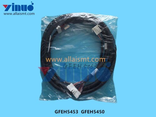GFEH5453 GFEH5450 HARNESS (3)