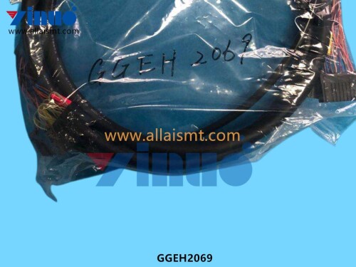 GGEH2069 HARNESS (2)