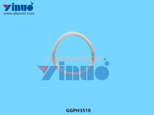 GGPH3510 RING FILTER (2)