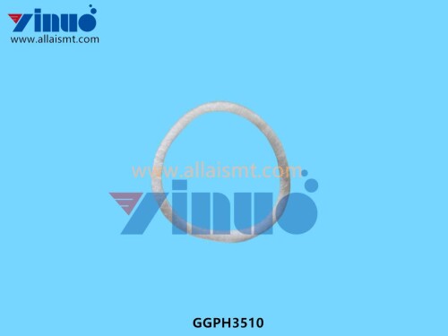 GGPH3510 RING FILTER (3)