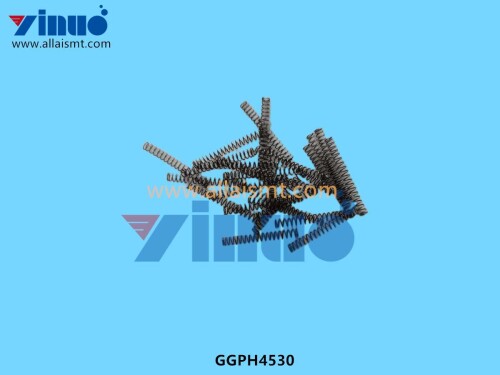 GGPH4530 SPRING (1)