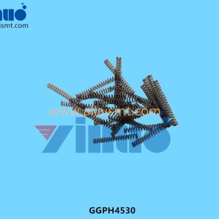 GGPH4530-SPRING-1