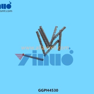 GGPH4530-SPRING-2