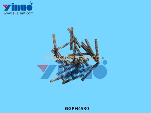 GGPH4530 SPRING (3)