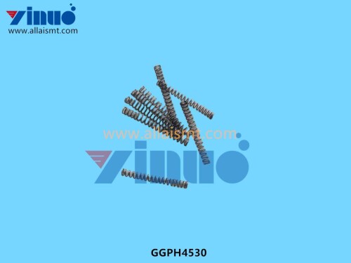 GGPH4530 SPRING (4)