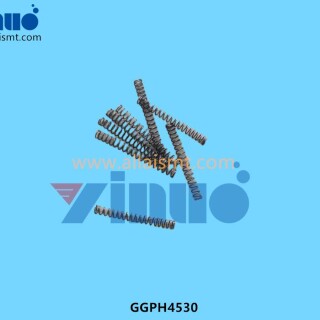 GGPH4530-SPRING-4