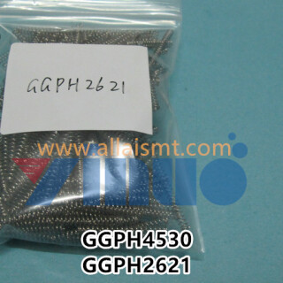 GGPH4530GGPH2621-SPRING