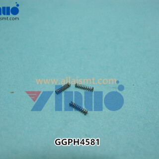 GGPH4581-SPRING-NXT-..
