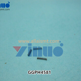 GGPH4581-SPRING-NXT-.