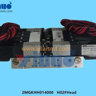 H02FHead-solenoid-valve-2MGKHH014000-2