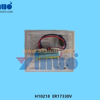 H10218-ER17330V-3.6V-Lithium-PLC-back-up-battery-pack-1