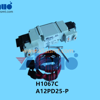 H1067C-A12PD25-P-FUJI-Solenoid-Valve-1