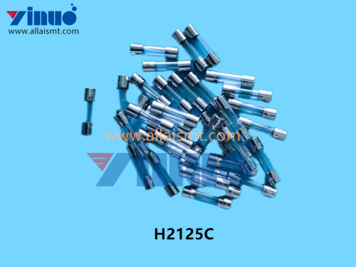 H2125C FUSE 250V 8A (2)