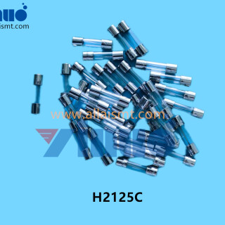 H2125C-FUSE-250V-8A-2