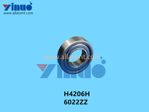 H4206H CP642 6022ZZ BEARING (2)