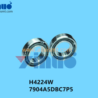 H4224W-7904A5DBC7P5-BEARING-1