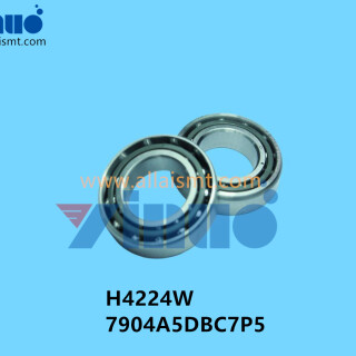 H4224W-7904A5DBC7P5-BEARING-2