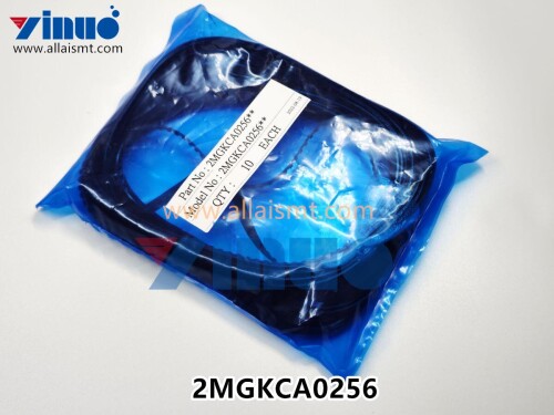 IMG 20221231 233640