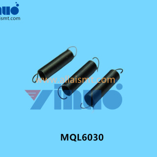 MQL6030-SPRING-1